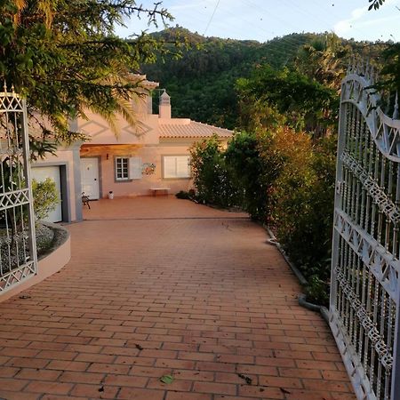 Casa Loureiro - Vista Rio Douro Villa Resende Luaran gambar