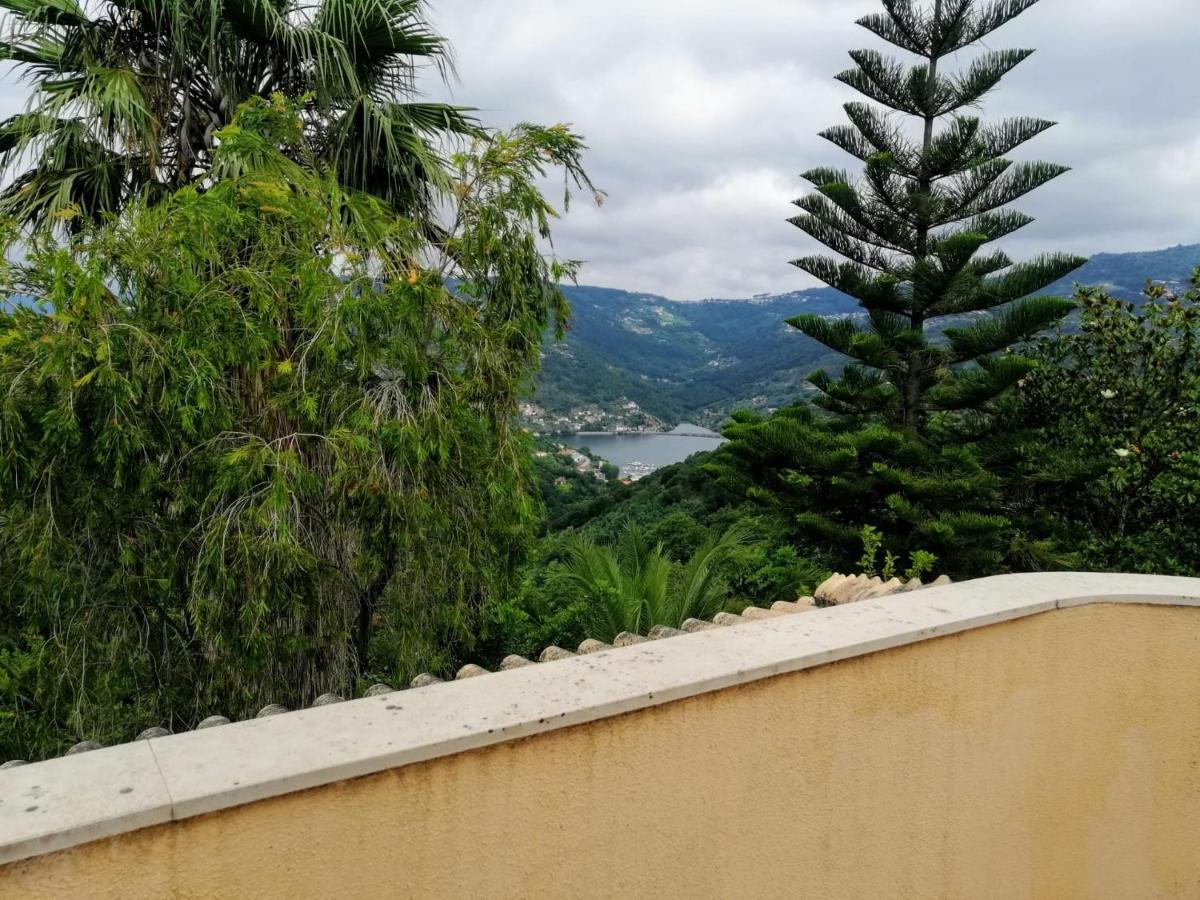Casa Loureiro - Vista Rio Douro Villa Resende Luaran gambar