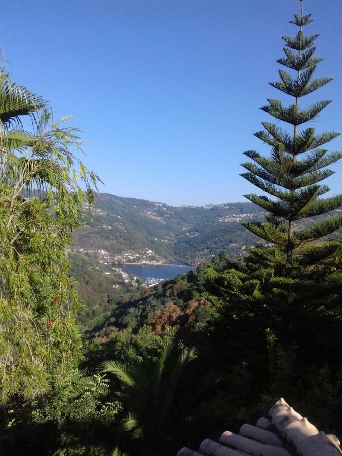 Casa Loureiro - Vista Rio Douro Villa Resende Luaran gambar
